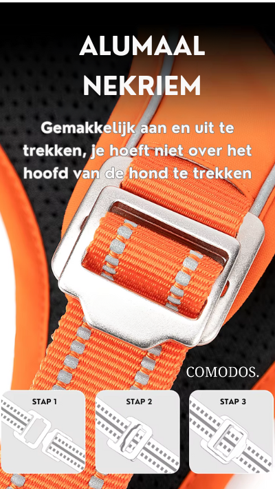 Veiligheidsharnas voor honden, reflecterend en robuust, voor zorgeloos wandelen, outdoor gebruik. Duurzaam.