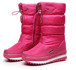 Roze