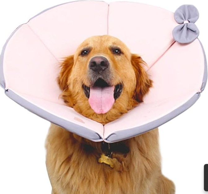 Zachte, geelbruine hondenkraag voor comfort en bescherming na operaties, voorkomt likken en stabiliseert het hoofd.