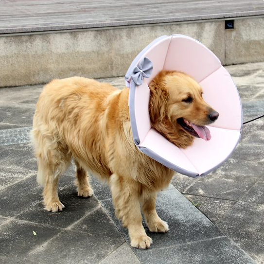 Zachte, geelbruine hondenkraag voor comfort en bescherming na operaties, voorkomt likken en stabiliseert het hoofd.